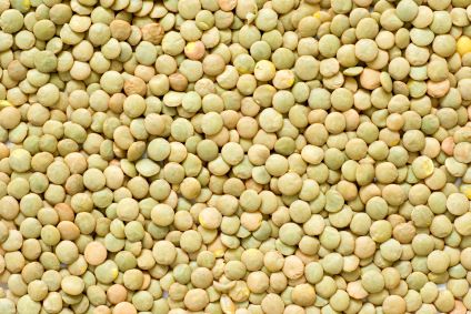 lentils 6 month old baby